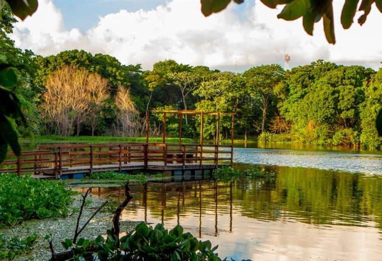 Solicitan 200 hectáreas del Jardín Botánico para entregar a 2.500 familias