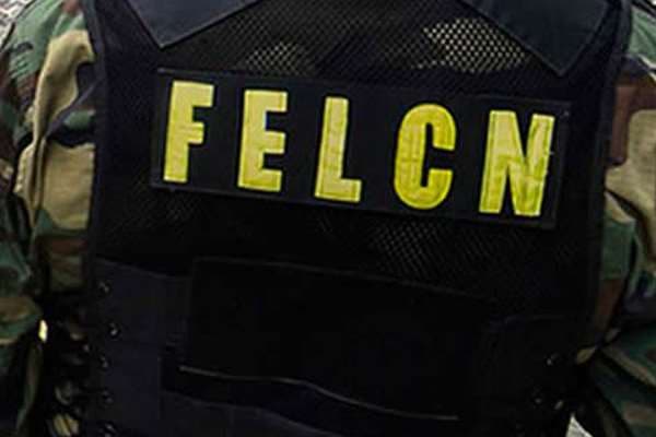 Un uniformado de la Felcn I archivo.