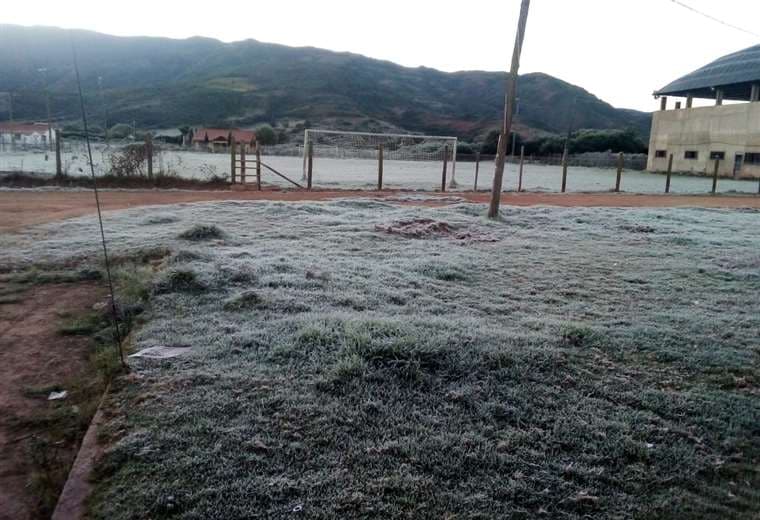 Heladas en los valles afecta a 500 hectáreas de cultivo: Foto: GADSC