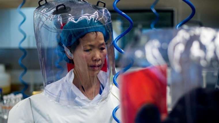 Ella es la viróloga china Shi Zhengli, en el centro de la polémica /Foto: BBC 