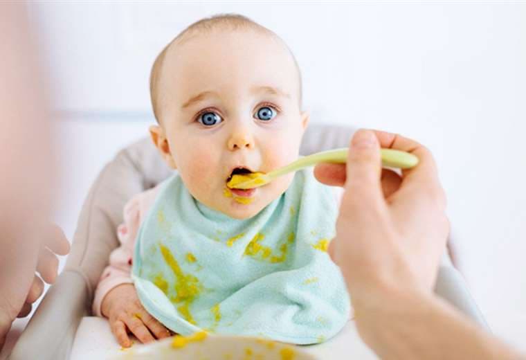 Comidas para bebés, foto: internet