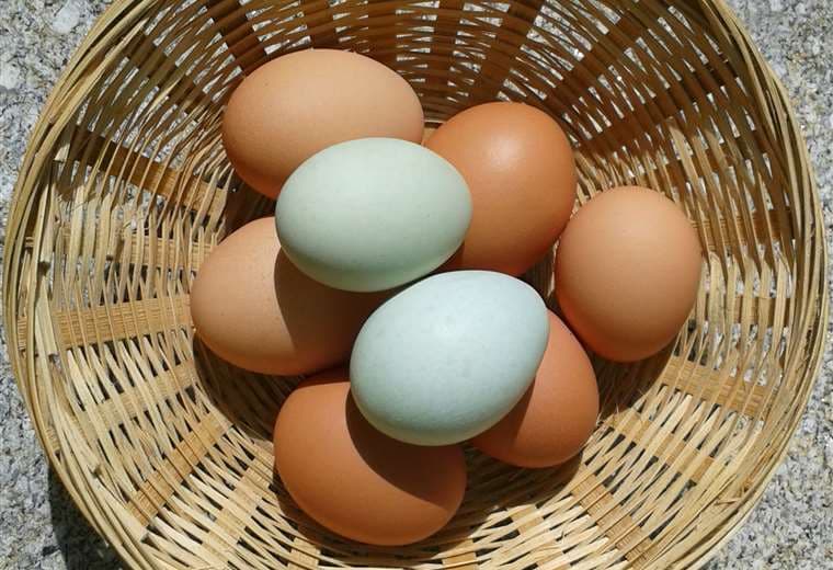 Huevos, foto: internet