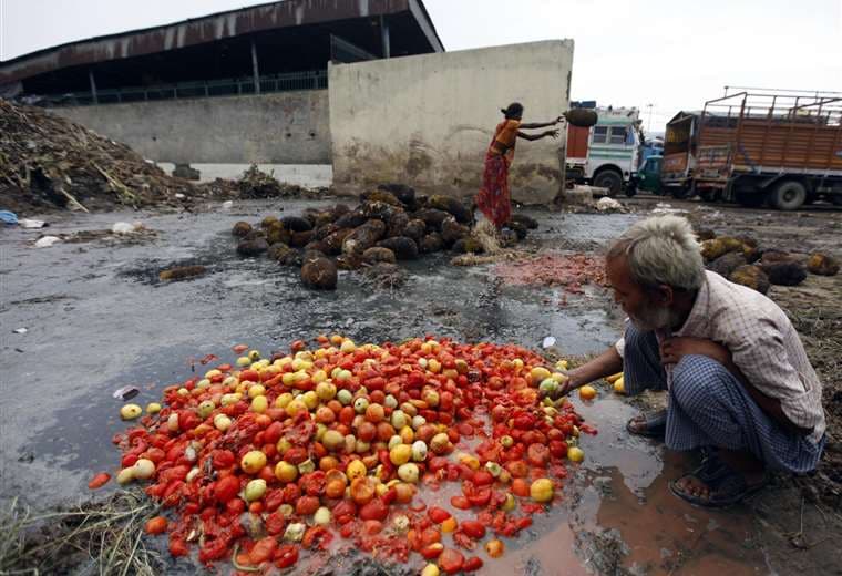 Desperdicio global: el 40 % de los alimentos no son consumidos