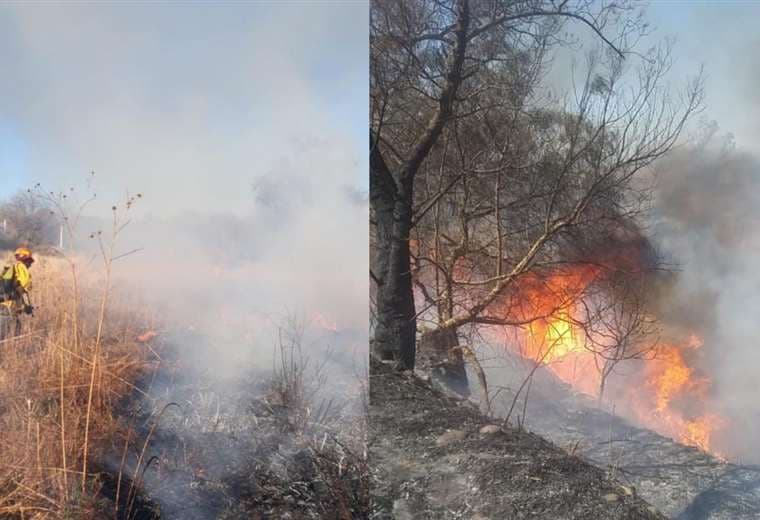 Incendio forestal en Tarija/Foto: Grupo de Bomberos Brasschaat