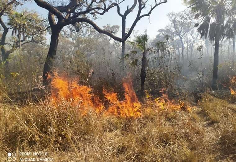 Dos incendios forestales mantienen la alerta en San Matías. Foto: Ríos de Pie