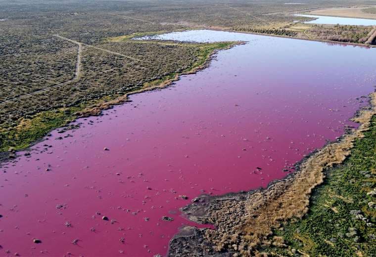 Lago rosa por contaminación