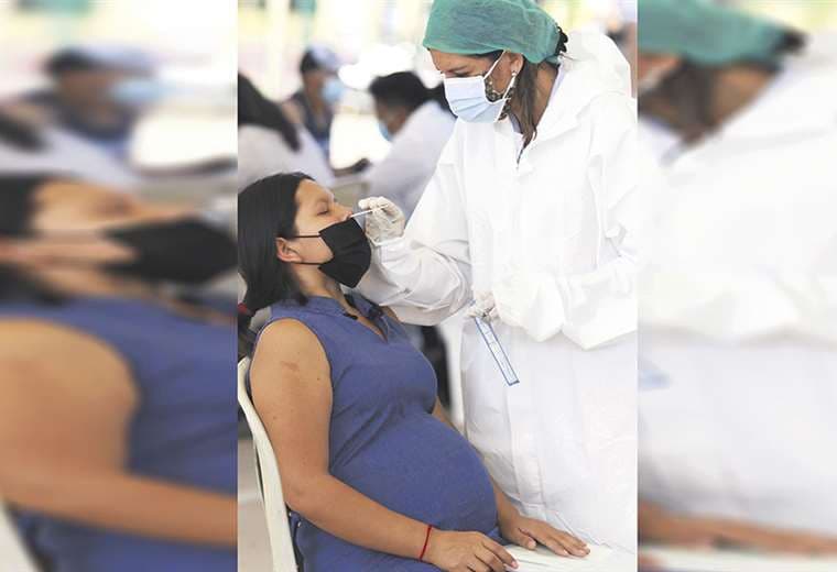 En Santa Cruz prevén aplicar dosis anticovid a más de 81.000 embarazadas