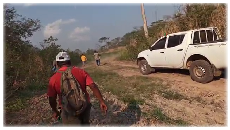 Camioneta de la ABT de Guarayo puso ser aplastada por un árbol 