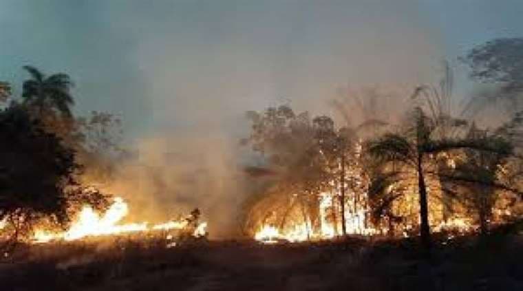 El fuego provoca daños en la Chiquitania (Foto: ABI)
