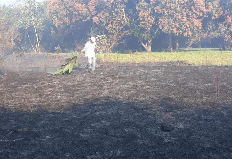 Campos de cultivo afectados por las llamas. Foto: S. Prado