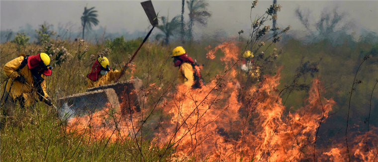 Incendios forestales afectan a la Chiquitania