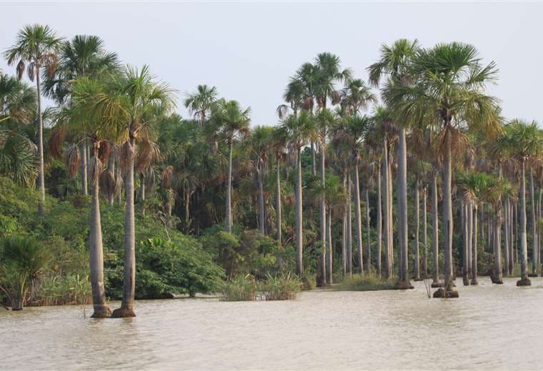 Ramsar Río Yata (Beni)/Foto: WWF