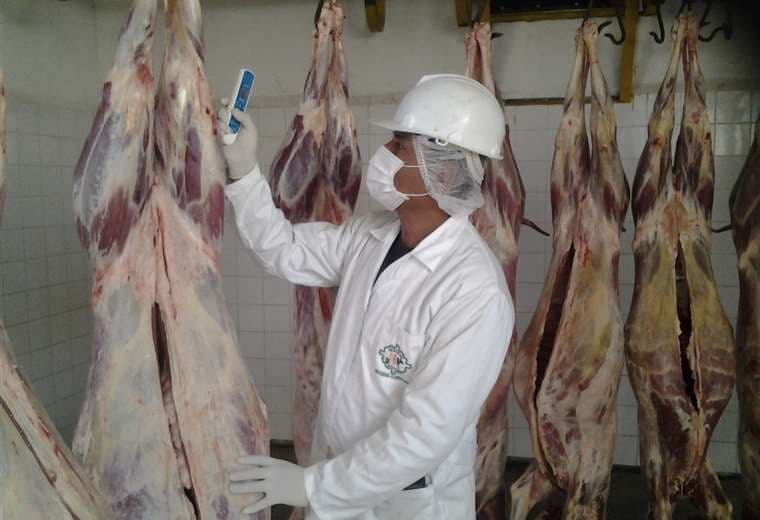 Exportación de carne bovina (Foto: Senasag)