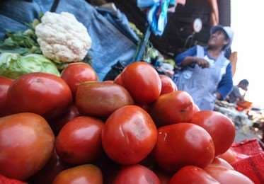 El tomate es uno de los productos con mayor incidencia positiva en lo que va del año   
