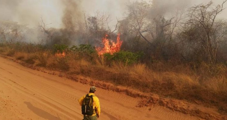 Tres incendios forestales persisten en el departamento. ARCHIVO