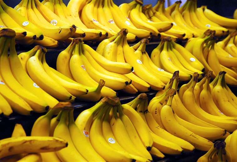 Bananas y plátanos
