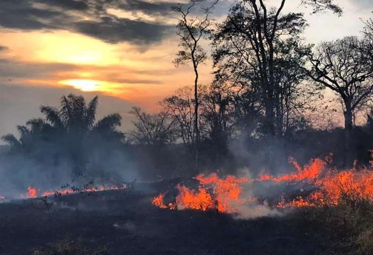Cuatro nuevos incendios forestales en Santa Cruz.