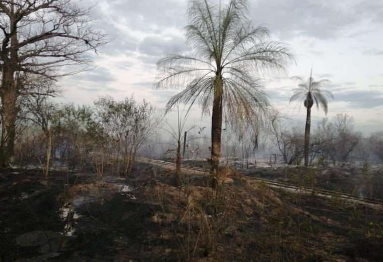 26 incendios activos en la Chiquitania. Foto: cortesía de Ríos de Pie