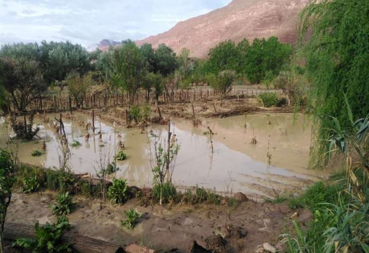 Los daños ocasionados por la lluvia en Camargo I Correo del Sur.