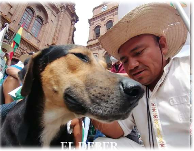 Penoco es la mascota y guardián de los marchistas de Chiquitos. Foto. Jorge Gutiérrez