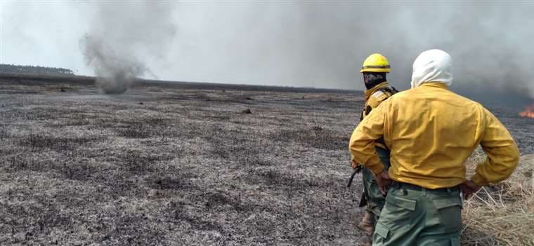 Los incendios continúan arrasando las áreas protegidas 
