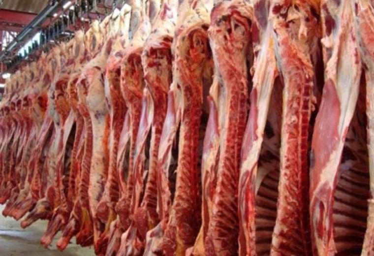 La exportación de carne tuvo buen desempeño (Foto: Internet)