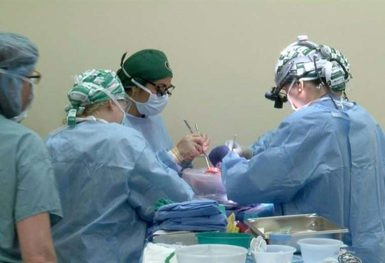 Equipo médico de EEUU realiza otro trasplante de riñón de cerdo a humano