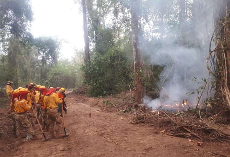 Recursos Naturales. Bomberos liquidan incendios forestales en Santa Cruz