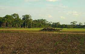 La tenencia de la tierra un problema que aún no se supera /Foto: Mongabay 