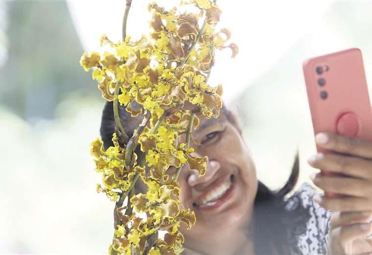 Concepción se alista para un festival de la orquídea cargado de alegría