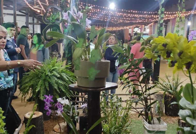 Geovanna Terceros. Festival de la Orquídea de Concepción presenta más de 4 mil orquídeas