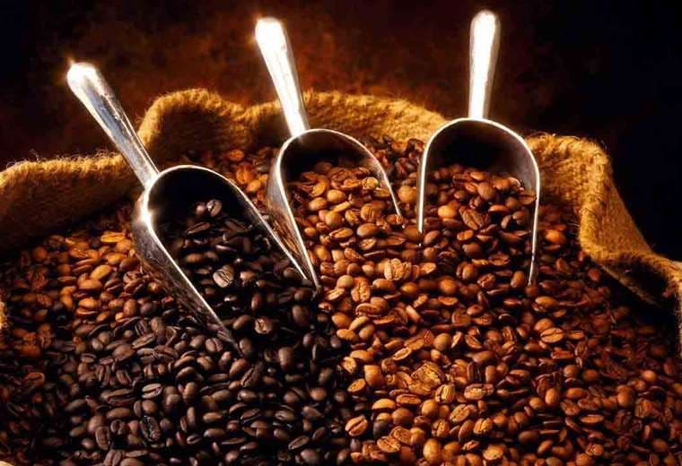 Plagas, enfermedades y falta de mercados, las trabas que enfrentan productores de café en Santa Cruz