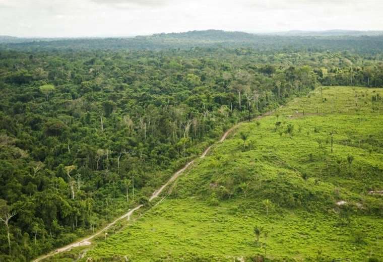 La deforestación lleva la Amazonia a un punto de no retorno