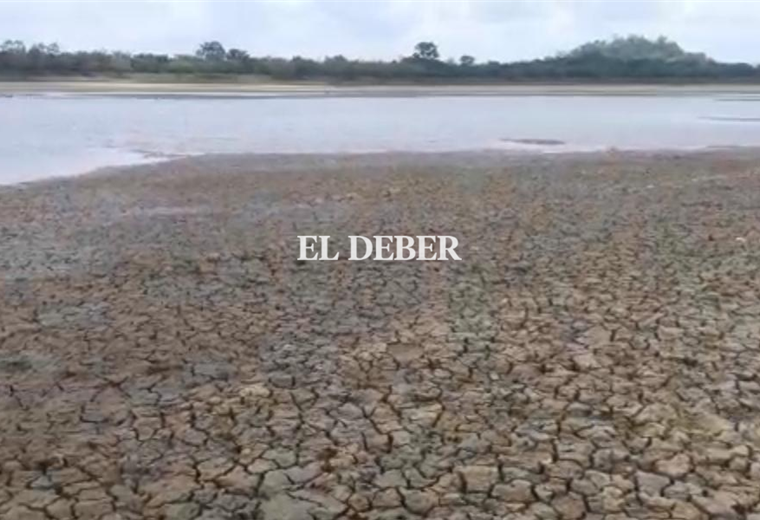 Muestra de la sequía en Ascensión de Guarayos. Foto: Desther Agreda /Archivo