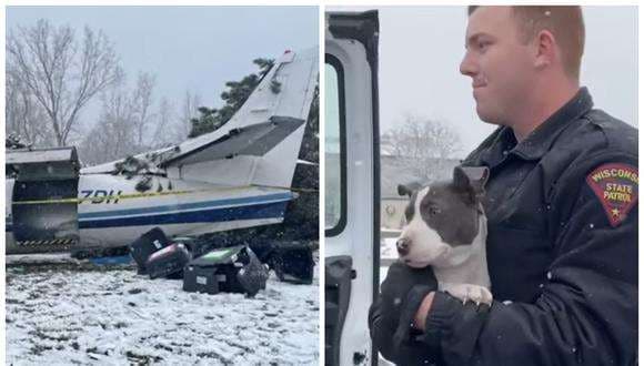 Más de 50 perros que iban en un avión sobrevivieron a un accidente aéreo.