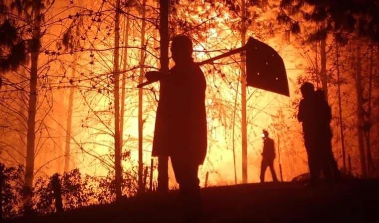 Imagen referencial de incendios forestales/ Foto: GADSC