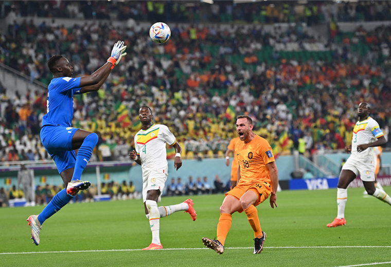 El partido entre Senegal y Países Bajos se juega en Al Thumama. Foto. AFP 