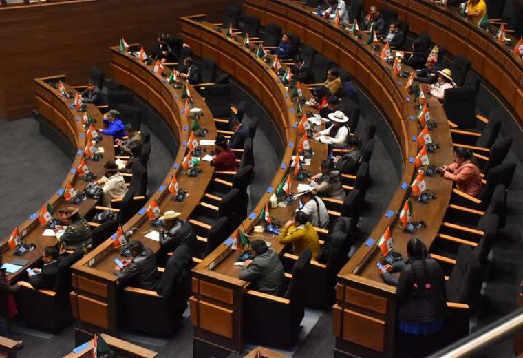 Sesión de la Cámara de Diputados/Foto: AFP
