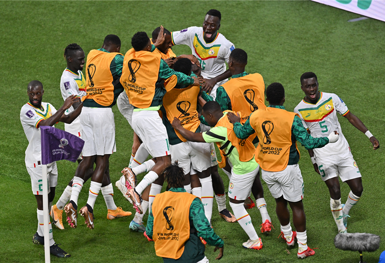 Titulares y suplentes de Senegal celebran el gol de Ismaïla N'Diaye. Foto. AFP