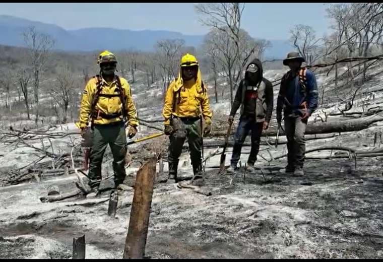 El Satif registra 908 focos de calor y 10 municipios con 16 incendios forestales