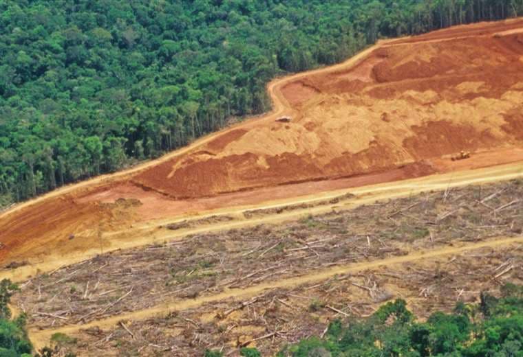 Deforestación en sabana brasileña se incrementa 25% en un año