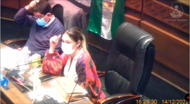 Eva Humerez en la sesión del Senado I captura.