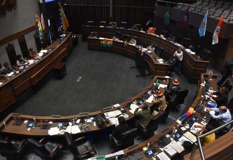Senado Boliviano aprueba el Presupuesto General del Estado/Foto: APG
