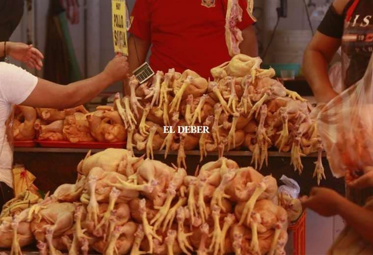 El costo del pollo se mantiene elevado/Foto: Ricardo Montero