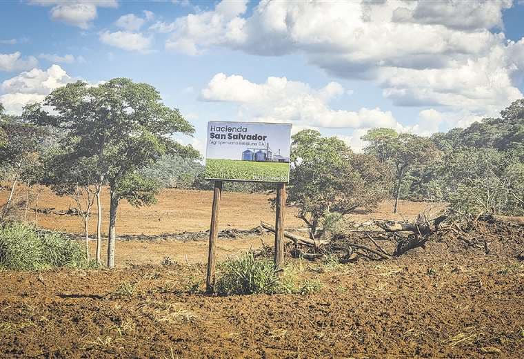La Chiquitania es una de las zonas afectadas por la deforestación/Foto: Archivo El Deber