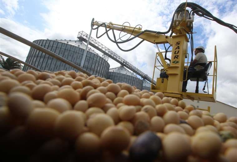 El sector soyero estima cosechar dos millones de toneladas de grano  