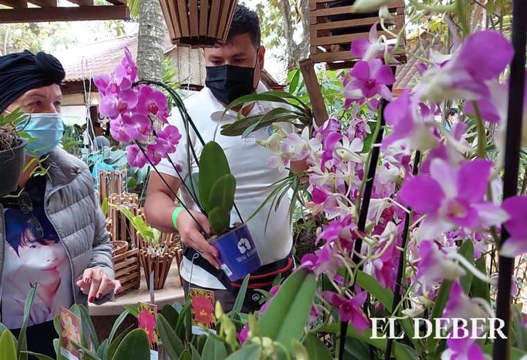 Exposición Internacional de Orquídeas Bolivia/Ricardo Montero