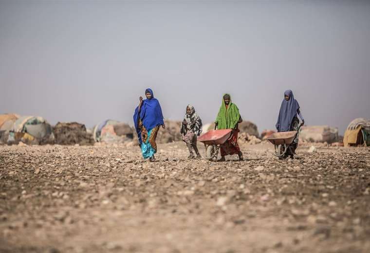 Sequía incide en la hambruna en África