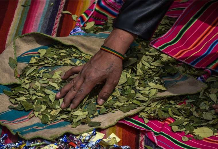 El consumo de la coca se extiende por toda Bolivia. Foto referencial