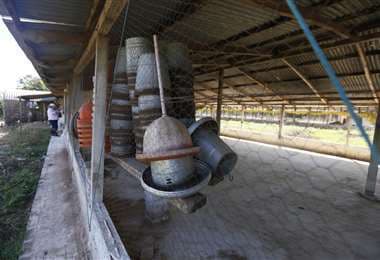 En Mairana solo opera el 40% de las granjas avícolas por la falta de maíz